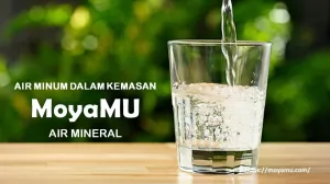 Mengapa Anda Terus Merasa Haus Meski Sudah Banyak Minum? 